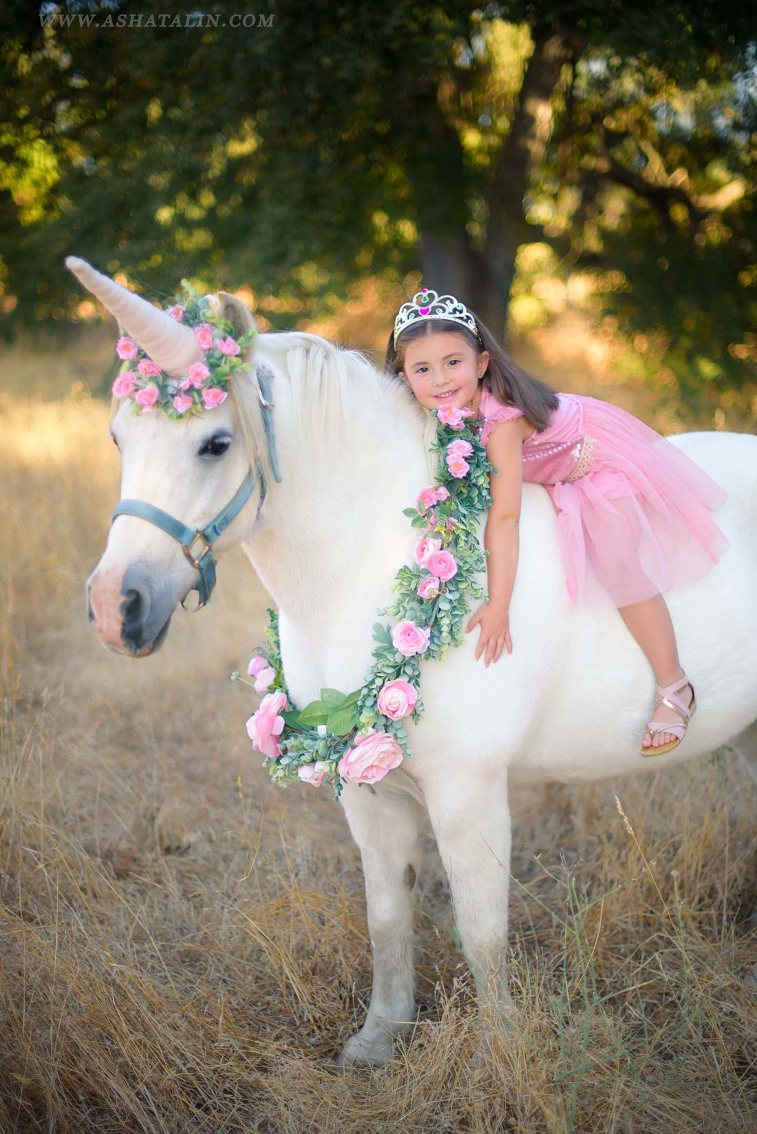 Photo session with a pony unicorn. Family photographer in Roseville, Rocklin, Folsom, Sacramento