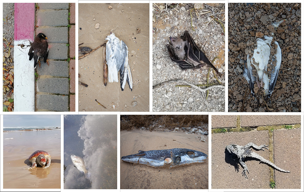 Парк развлечений. Фотограф Анна Резников