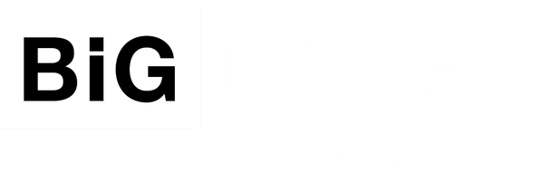 bigmodelagency.com