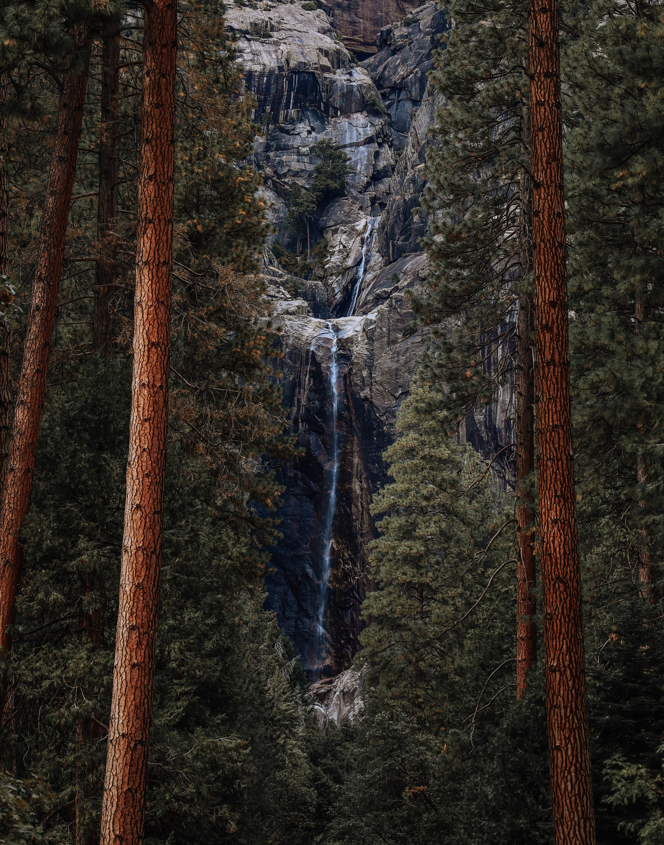 Print shop. Nailya Galibabayeva — San Francisco & Bay Area Photographer