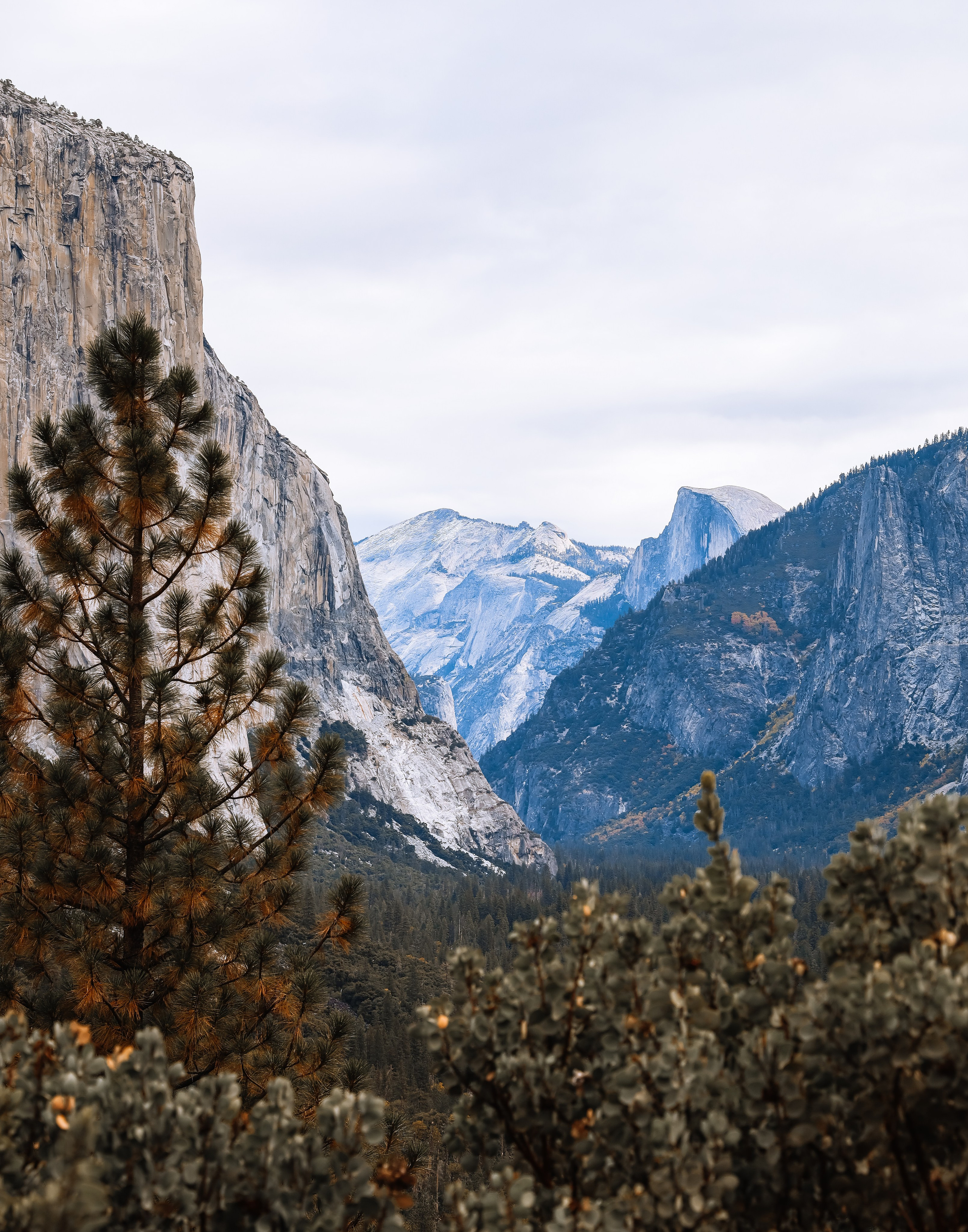 Print shop. Nailya Galibabayeva — San Francisco & Bay Area Photographer