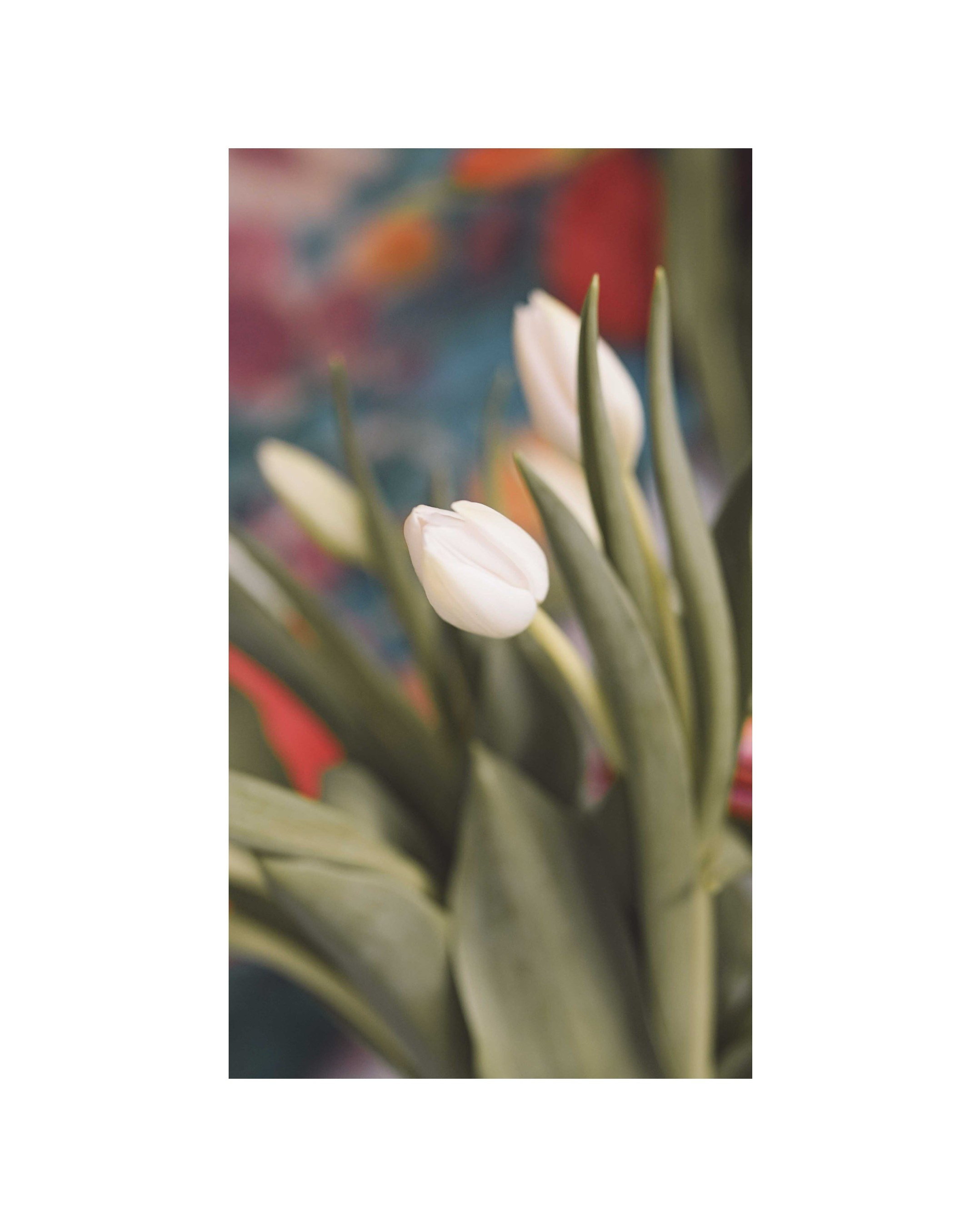 Mădălina Beda | Fotografie de Familie, Doula & Babywearing. Madalina Beda- Artist vizual, fotograf, doula la nastere, consultant babywearing Brasov si in toata tara