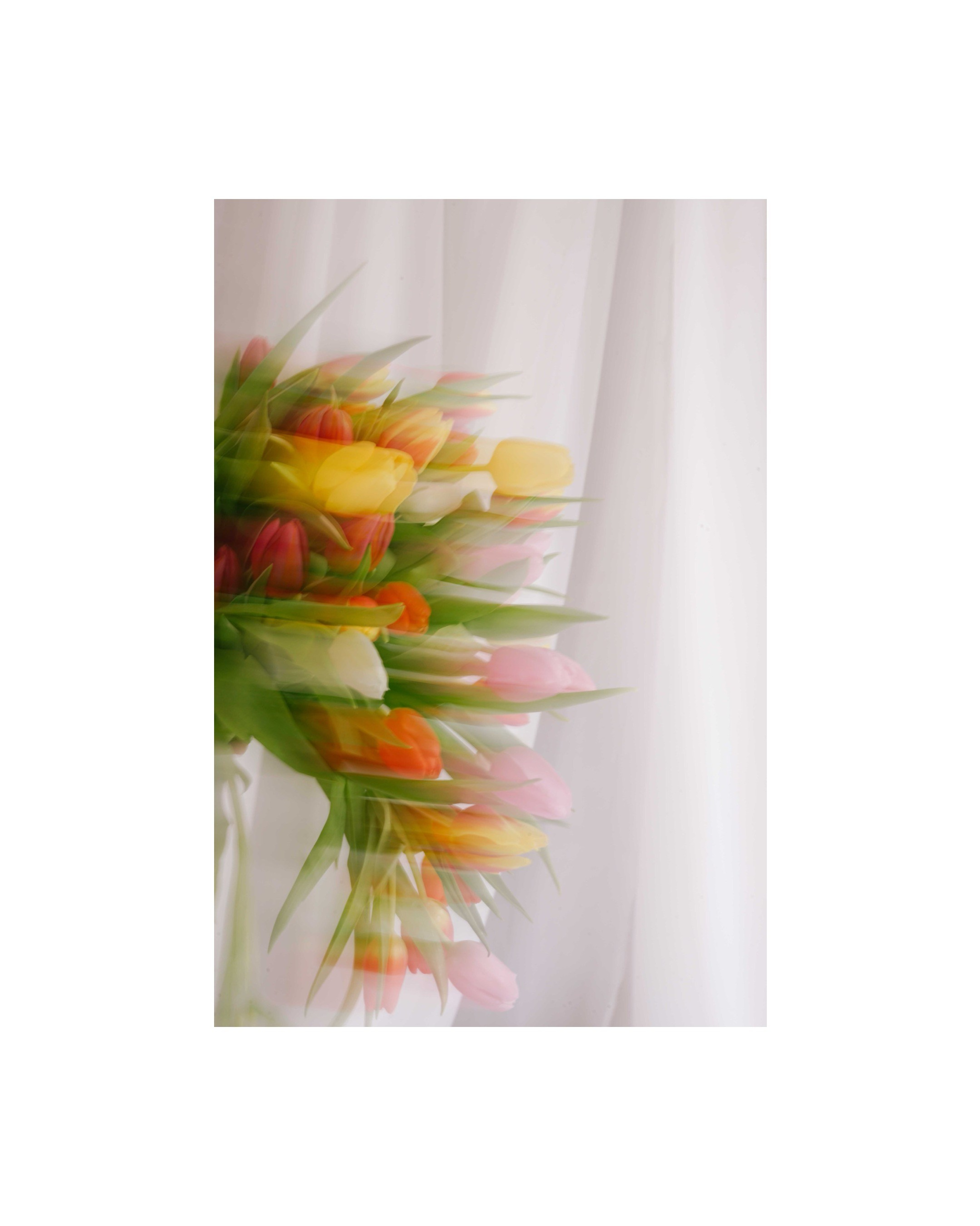 Mădălina Beda | Fotografie de Familie, Doula & Babywearing. Madalina Beda- Artist vizual, fotograf, doula la nastere, consultant babywearing Brasov si in toata tara