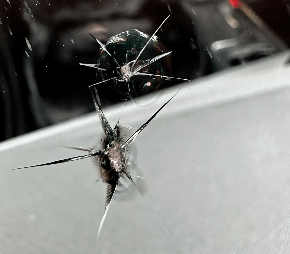 Ремонт лобовых стекол Кишинев