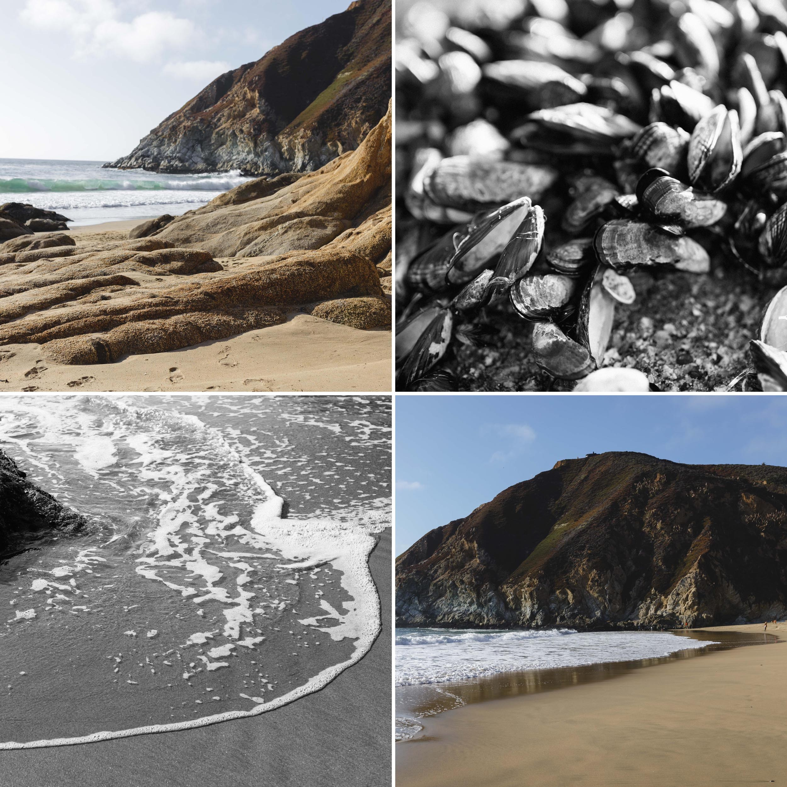 Bay Area Extended Family Photography | Expert Tips & Ideas. Maternity, newborn photographer in the Bay Area|Iryna Rakivnenko