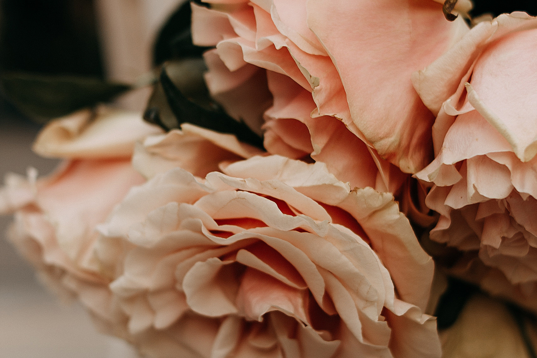 10 ideas for date photoshoots. Wedding and portrait photographer in Beograd Ekaterina Makedonskaya