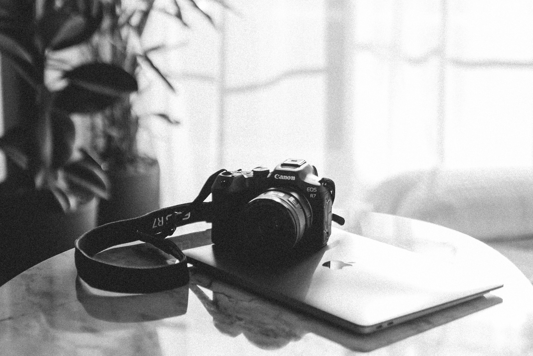 Contact. Fotógrafa de instantes que se tornam eternos!