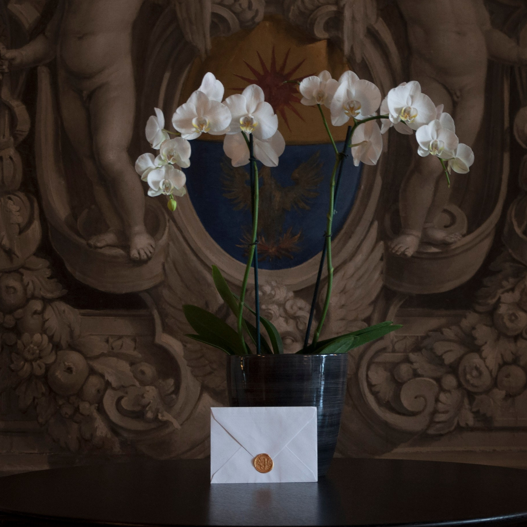 Contactgegevens. Éclat Fotos. Exclusieve portretfotografieservice