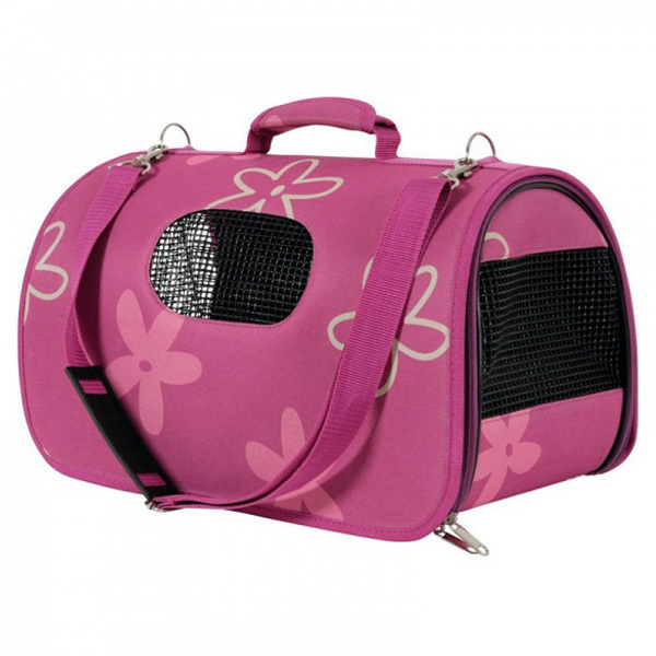 Τσάντα μεταφοράς γάτας. Εκτροφείο βρετανικής κοντότριχης γάτας στην Ελλάδα, χρυσή βρετανική γά