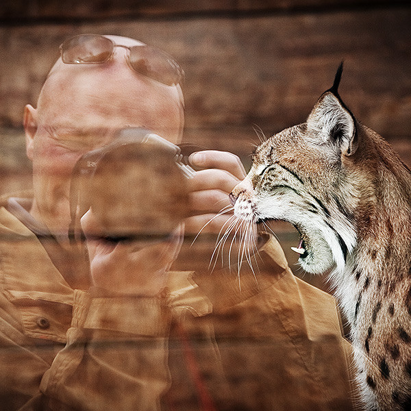 Contacts. Dmitrii Sharov Photographer Israel