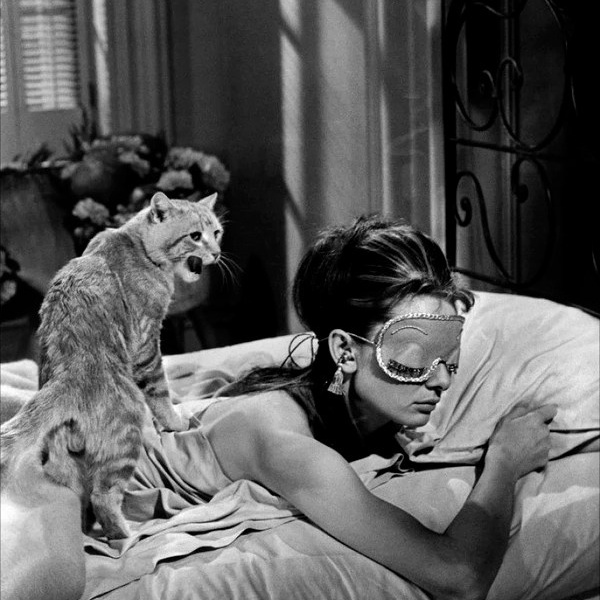 B&W inspiration. Дарья Филькова — фотограф и видеограф в Тбилиси, Грузия