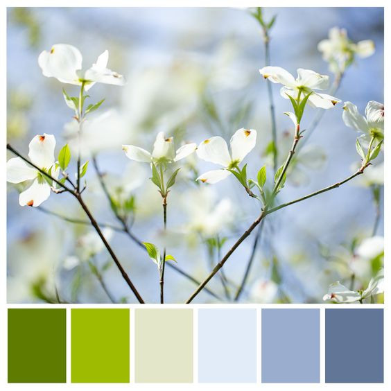 FOTOSESSIOON „Õied“. Jkurm Photography — Rovaniemi, Finland and Tartu, Estonia