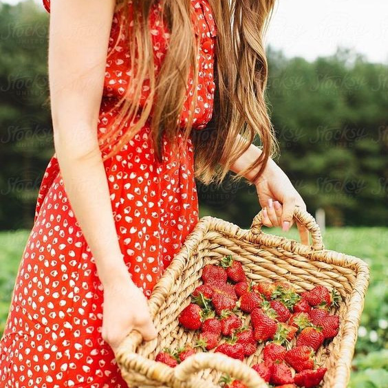 Полуничний фотопікнік 2021. Сімейний фотограф Київ Наталія Шкаврон