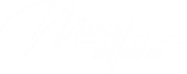 mariomatkovic.wfolio.pro