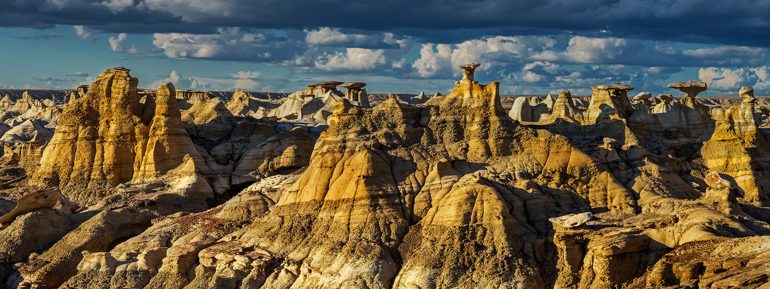 Бронирование. Alex Mironyuk Photography