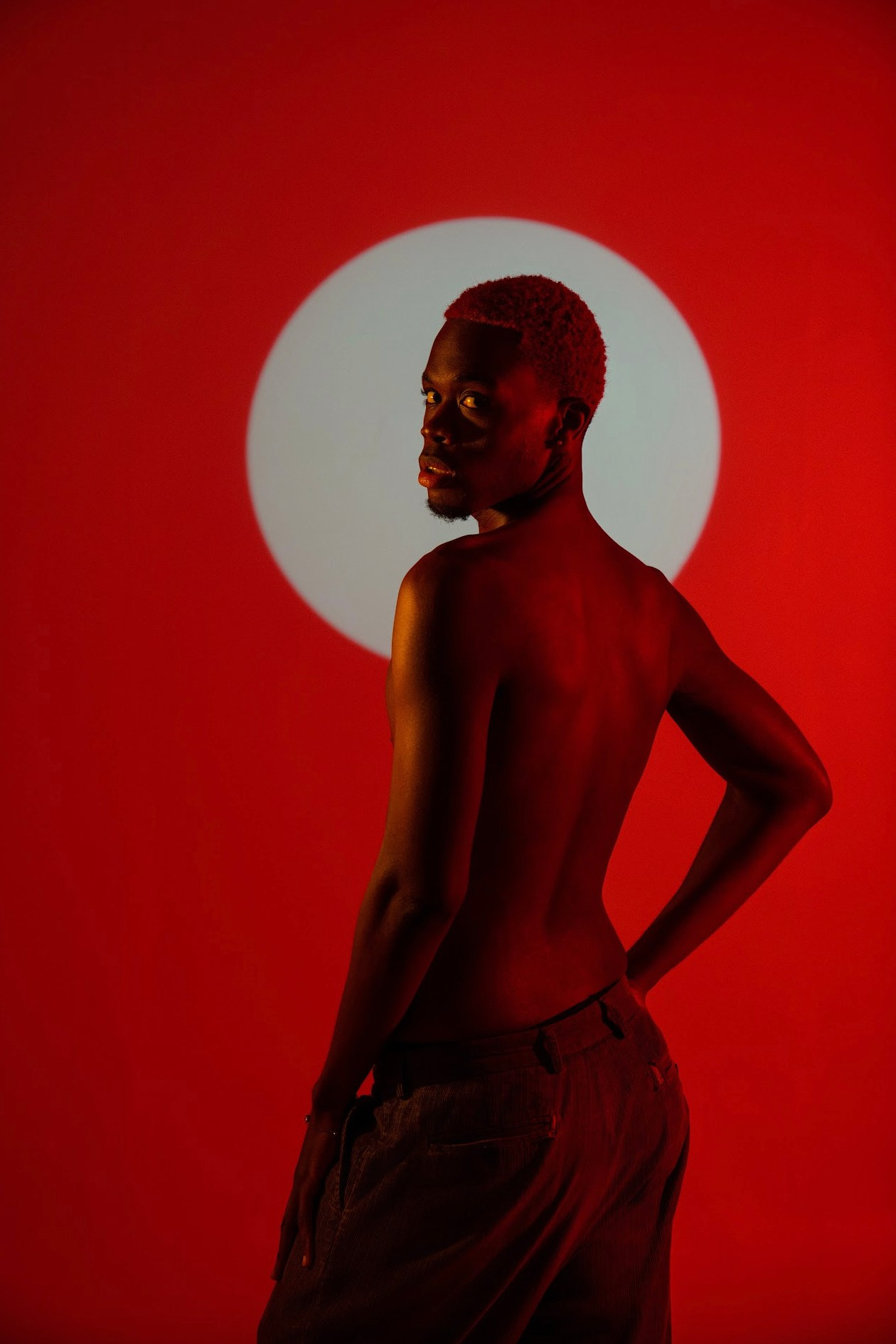 Studio Photography Styles Explained — Jacksonville (FL) Photographer Alice Nabieva