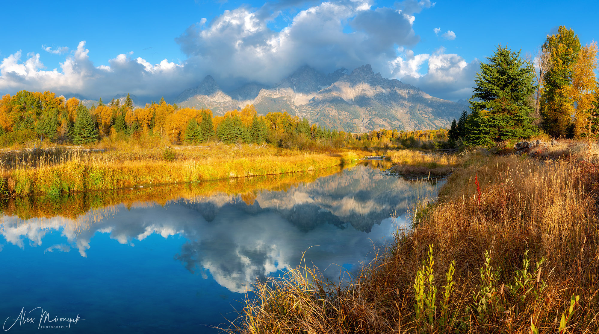 Yellowstone & Grand Teton. Alex Mironyuk Photography