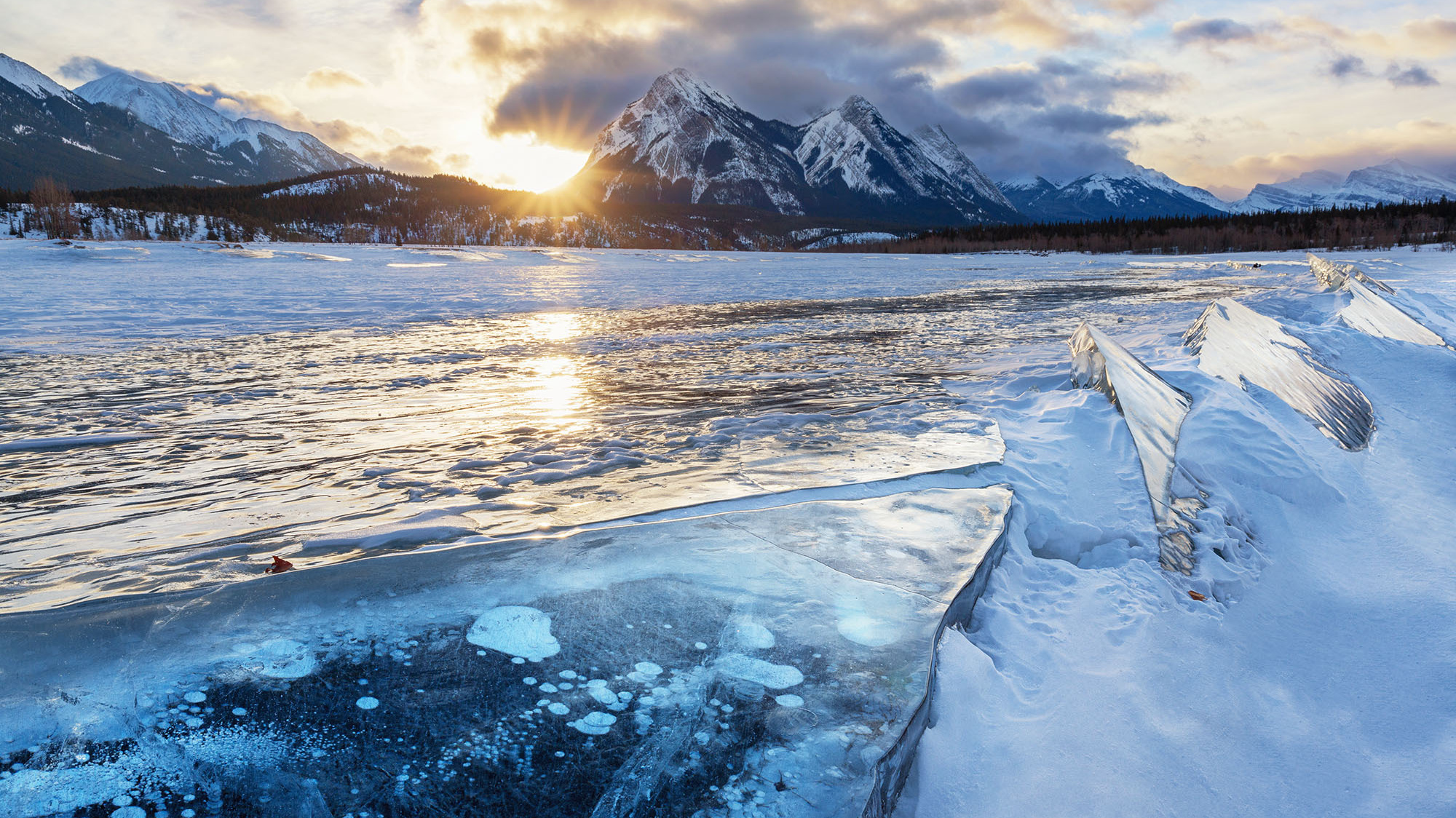 Canadian Winter Wonderland. Pet, Senior, Landscape, portrait studio, photographer in Miami and Sou