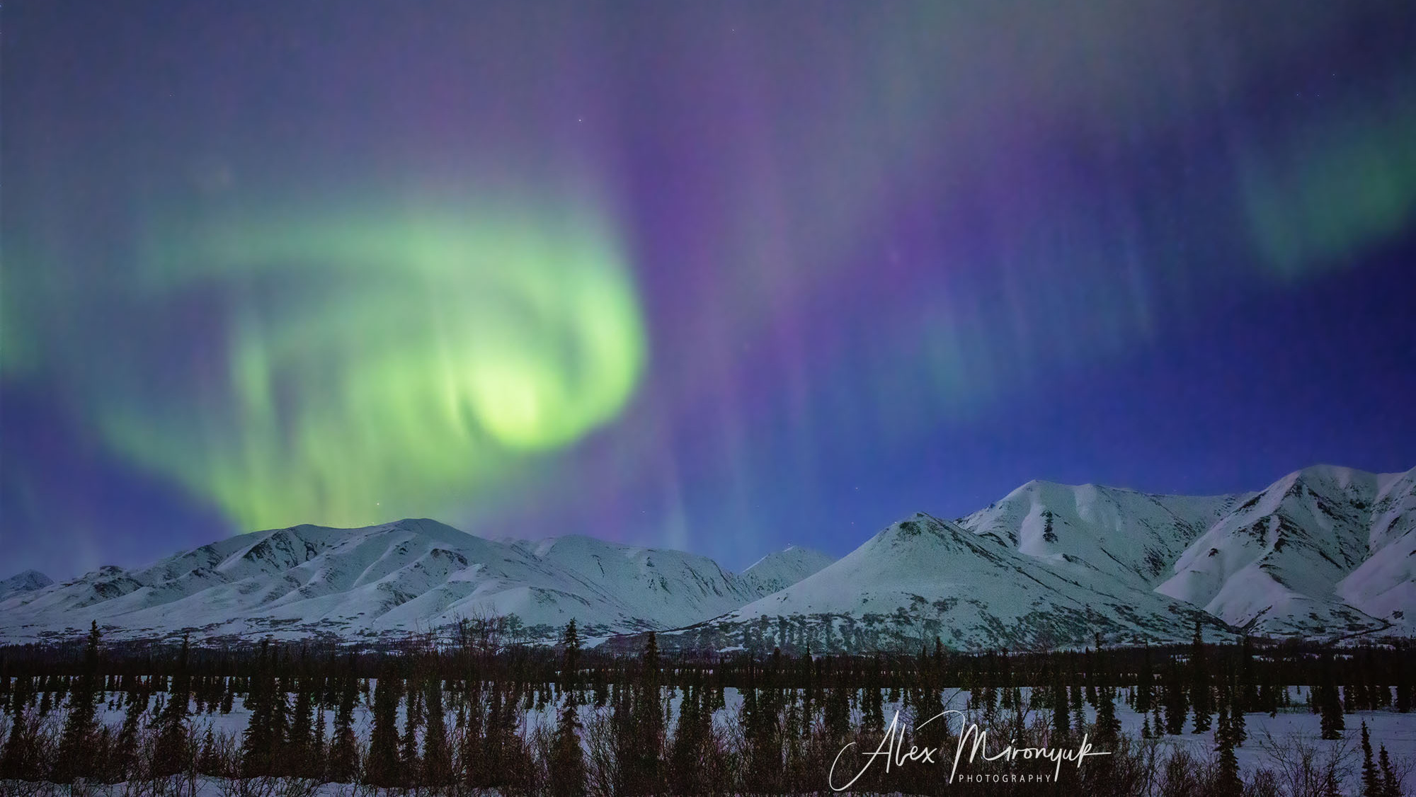 Chasing the Aurora Borealis. Pet, Senior, Landscape, portrait studio, photographer in Miami and Sou