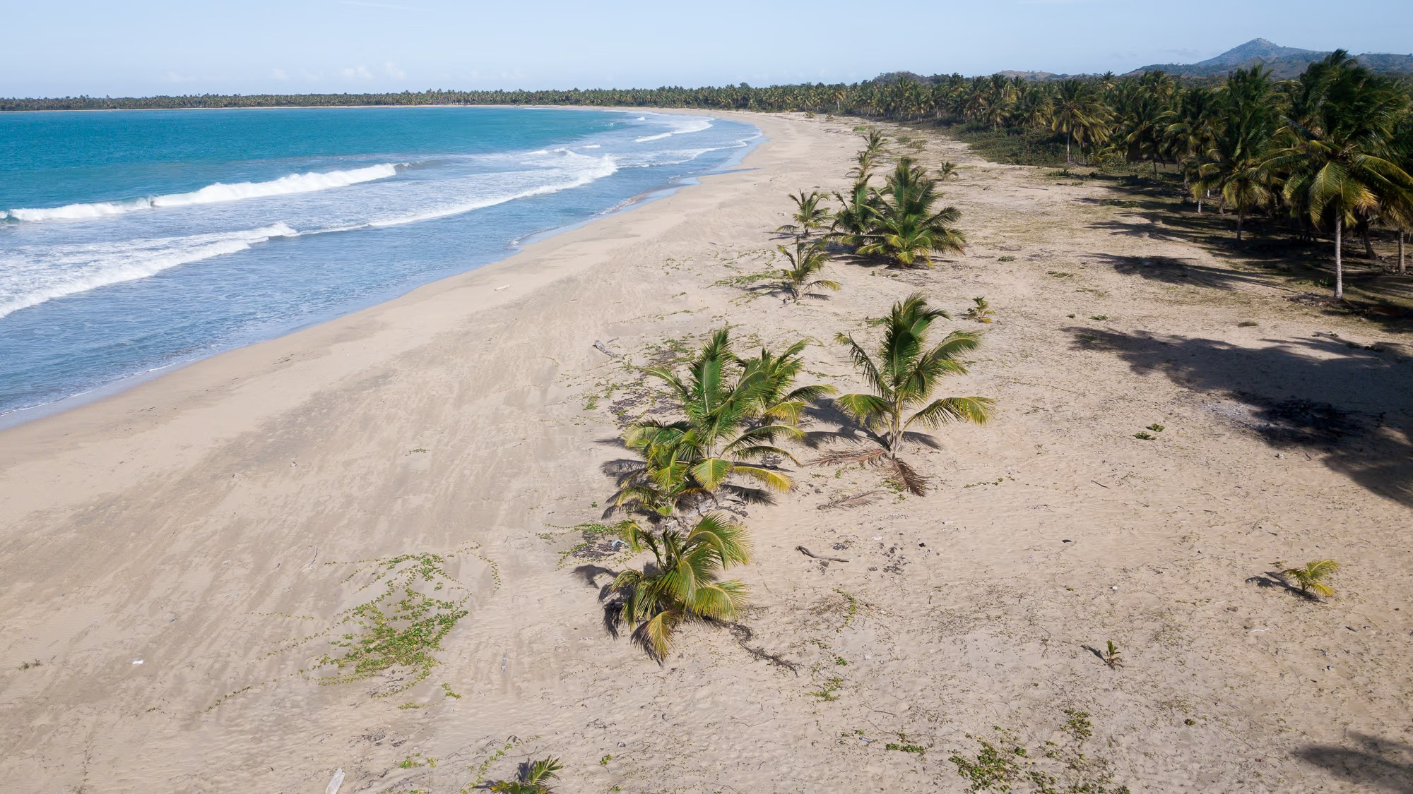 Playa Esmeralda with turquoise water, white sand and untouched tropical nature in the Dominican Republic.