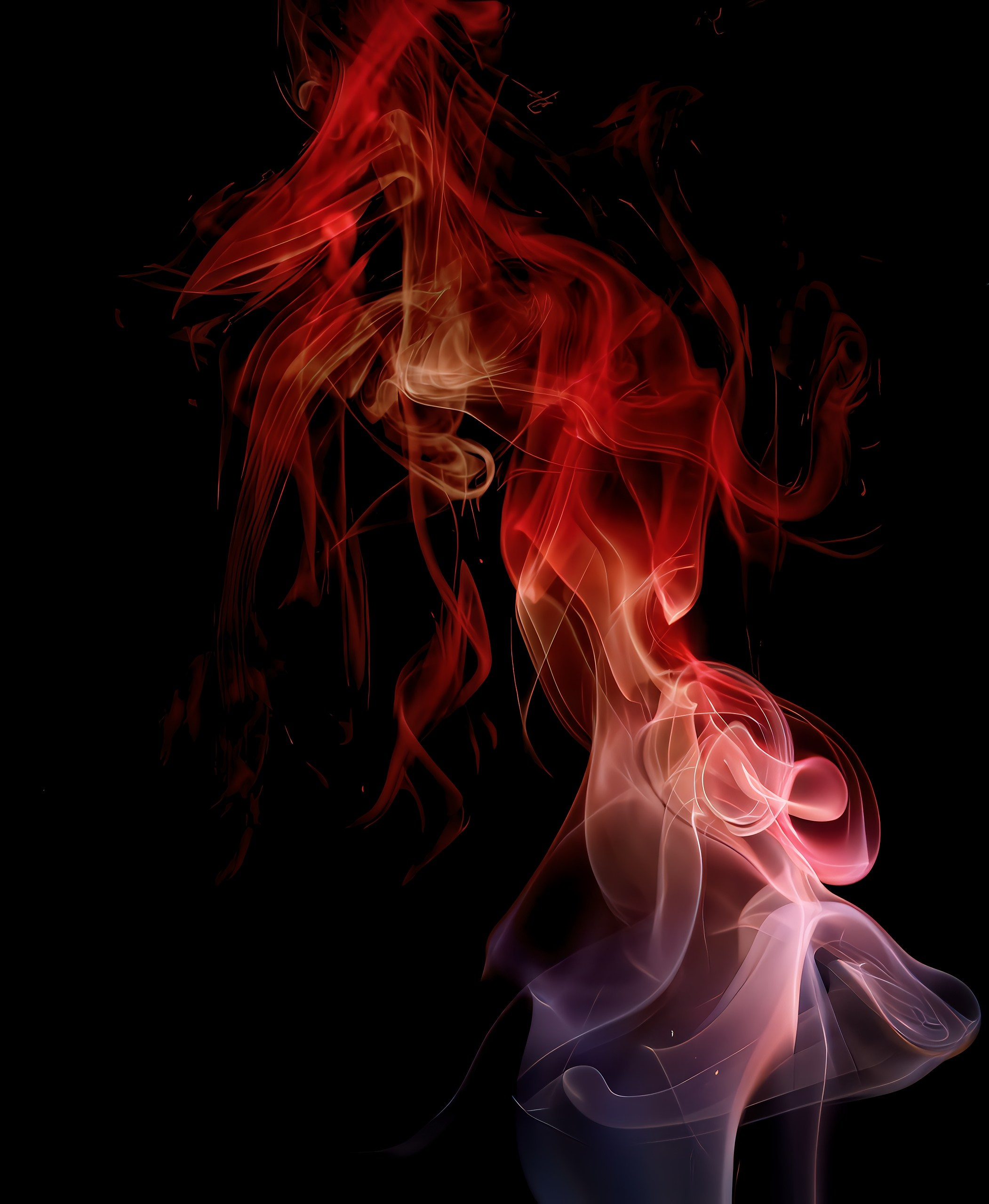Tessa Matuza | Constructed Fine Art Photographer & Mixed Media Artist