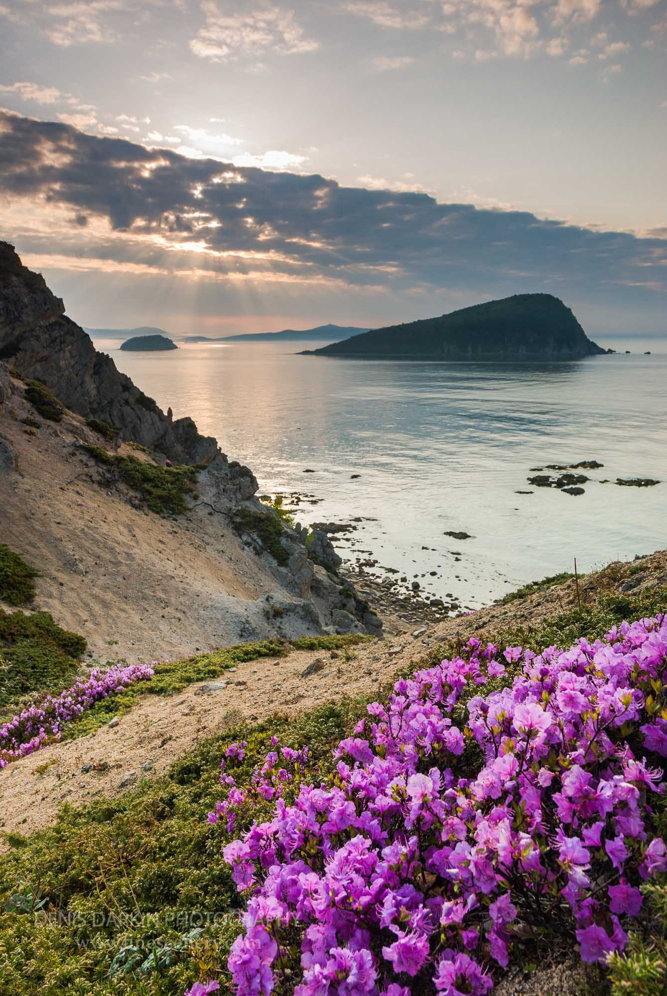 Lazovsky Reserve photos live. Denis Darkin scenic photography