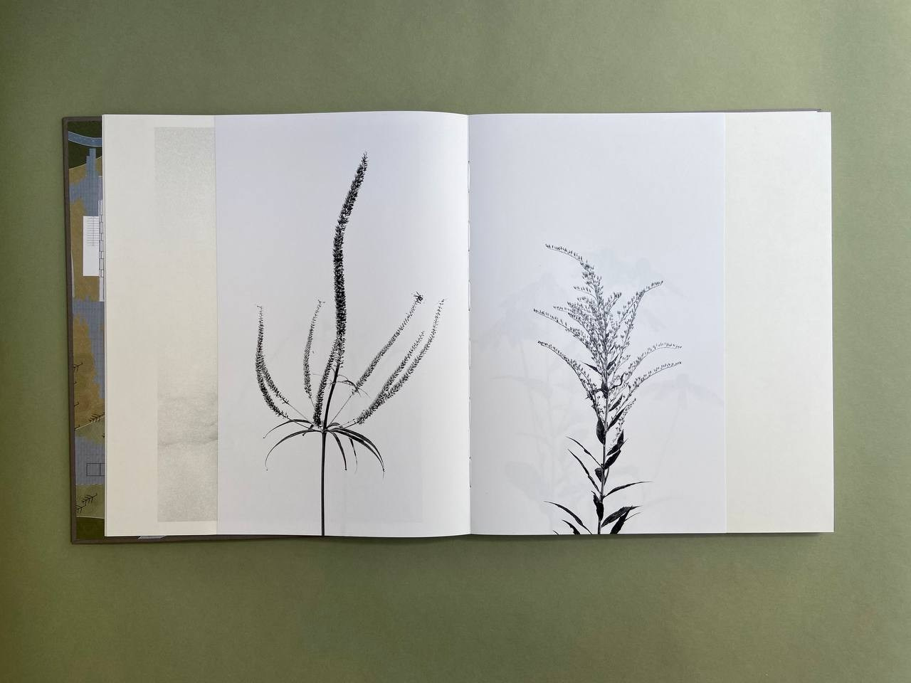 Life is still a garden, don’t say otherwise. Eugenia Ignatova photobook designer and artist in Belgrade