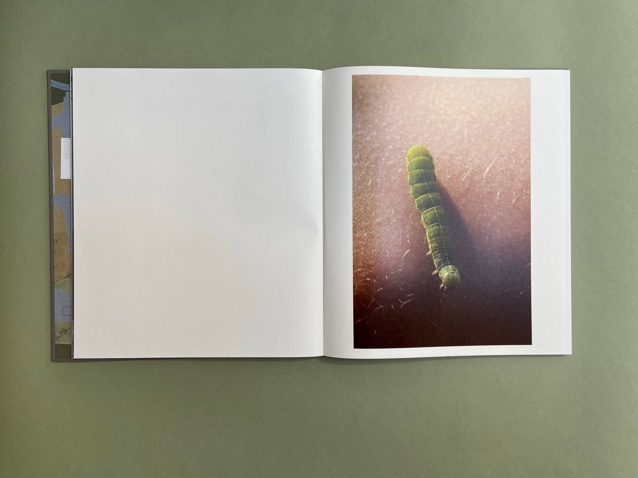 Life is still a garden, don’t say otherwise. Eugenia Ignatova photobook designer and artist in Belgrade