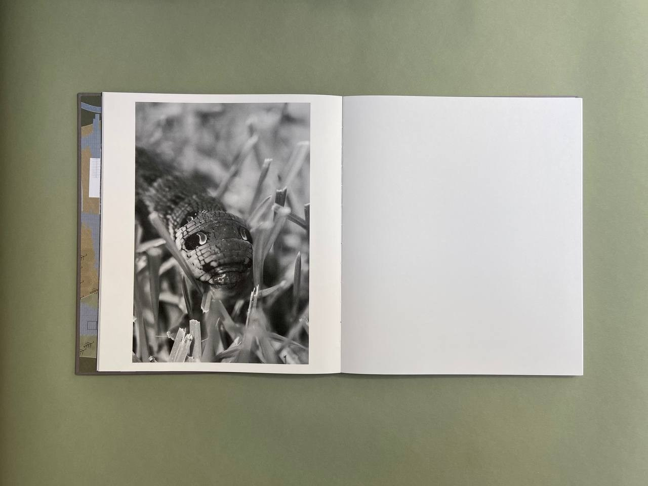 Life is still a garden, don’t say otherwise. Eugenia Ignatova photobook designer and artist in Belgrade