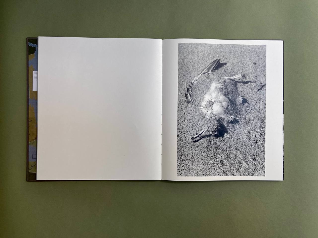 Life is still a garden, don’t say otherwise. Eugenia Ignatova photobook designer and artist in Belgrade