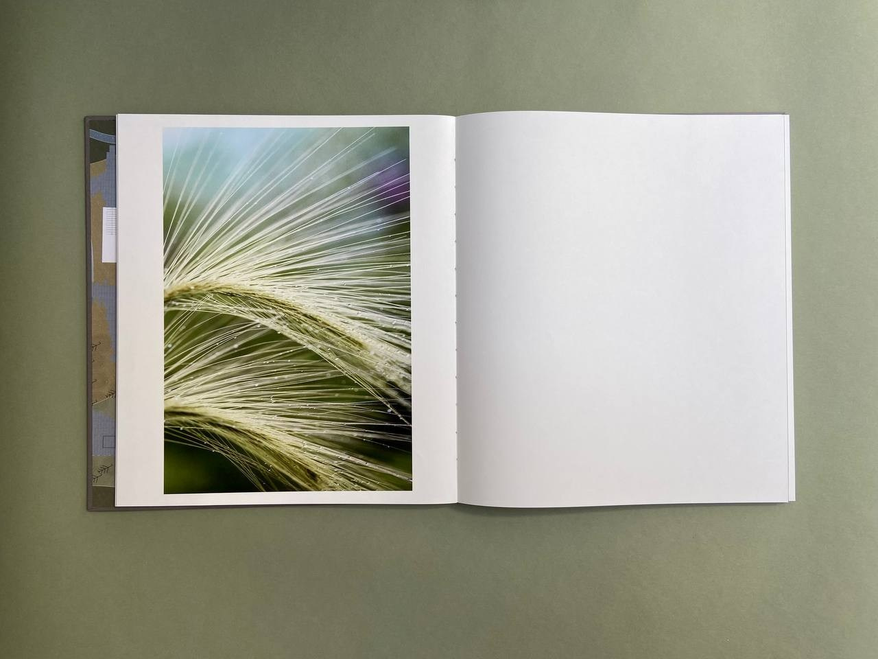 Life is still a garden, don’t say otherwise. Eugenia Ignatova photobook designer and artist in Belgrade