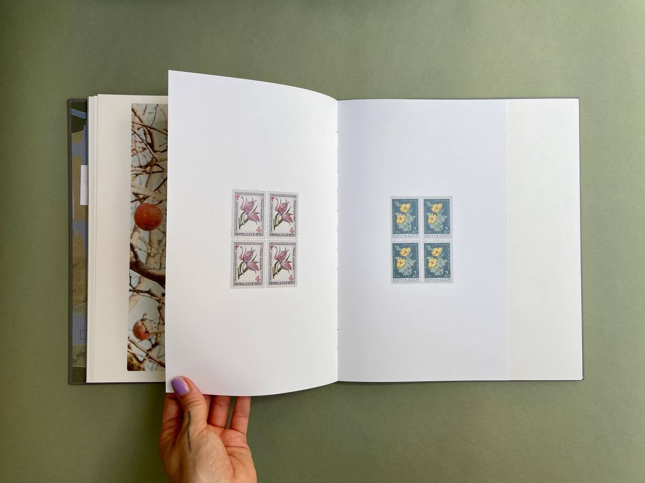Life is still a garden, don’t say otherwise. Eugenia Ignatova photobook designer and artist in Belgrade