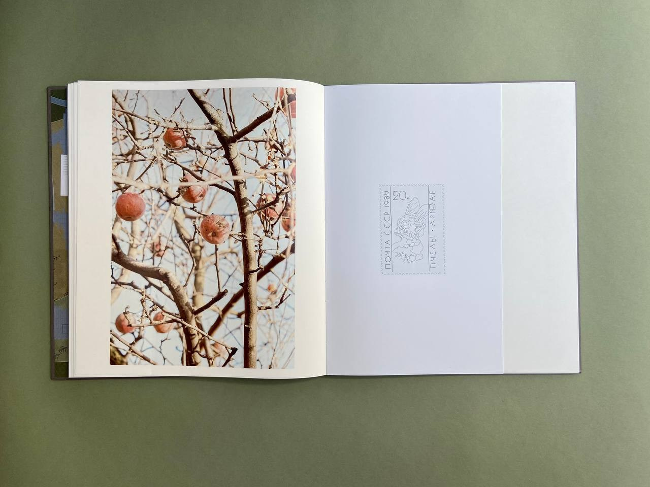 Life is still a garden, don’t say otherwise. Eugenia Ignatova photobook designer and artist in Belgrade
