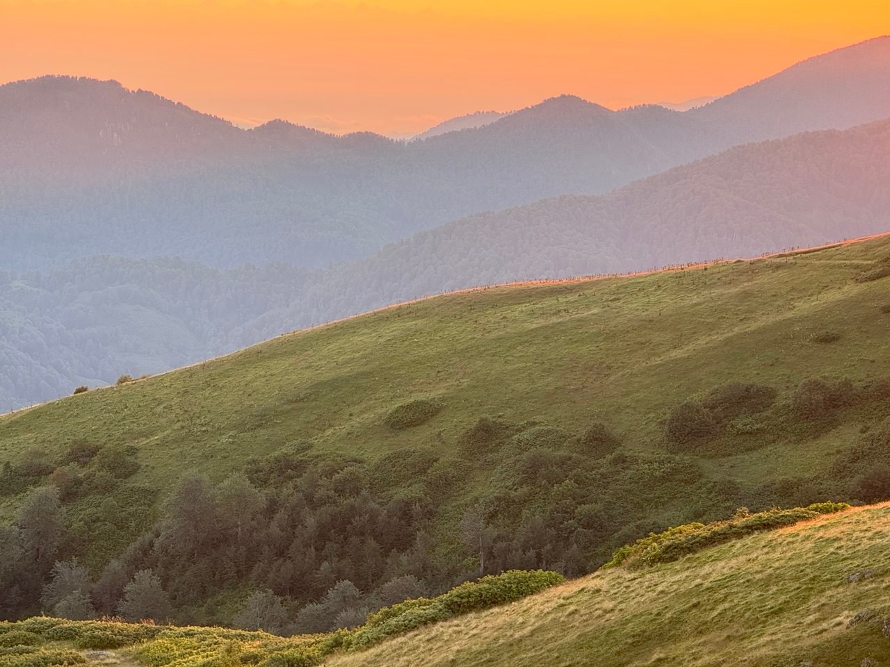 «Сердце гор» (2025). Художник живописец Савелова Ольга