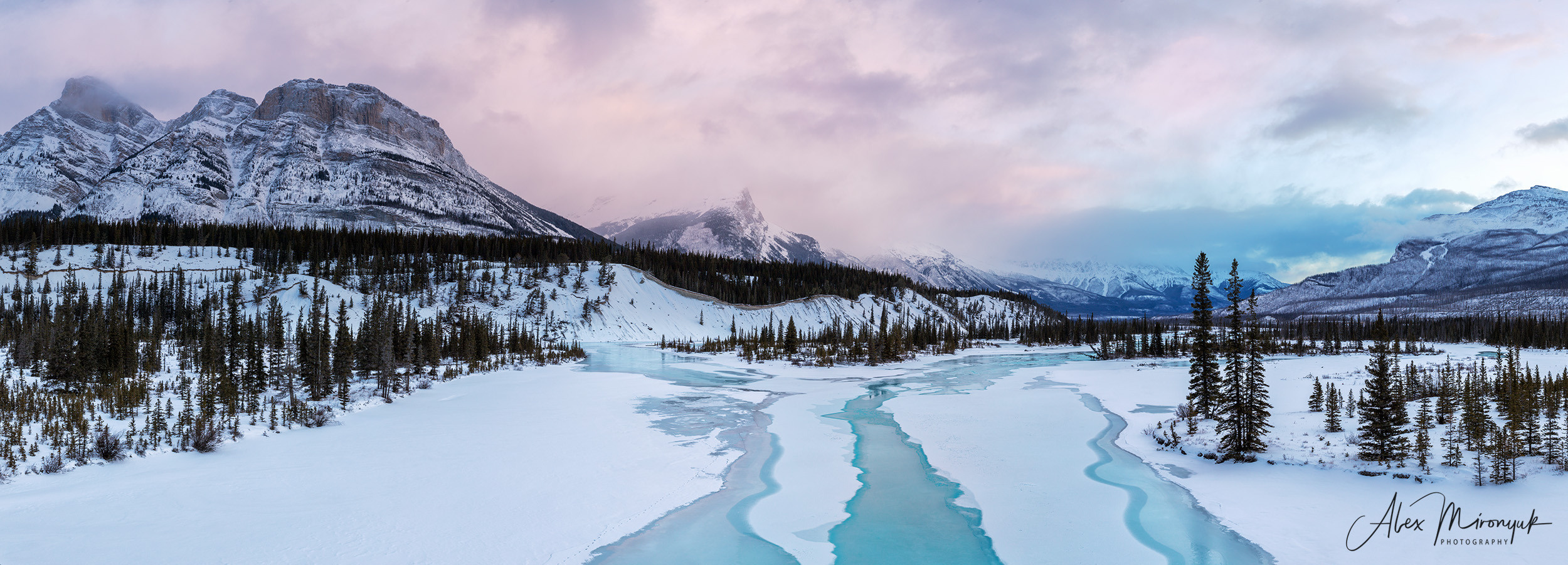 Canadian Winter Wonderland. Pet, Senior, Landscape, portrait studio, photographer in Miami and Sou