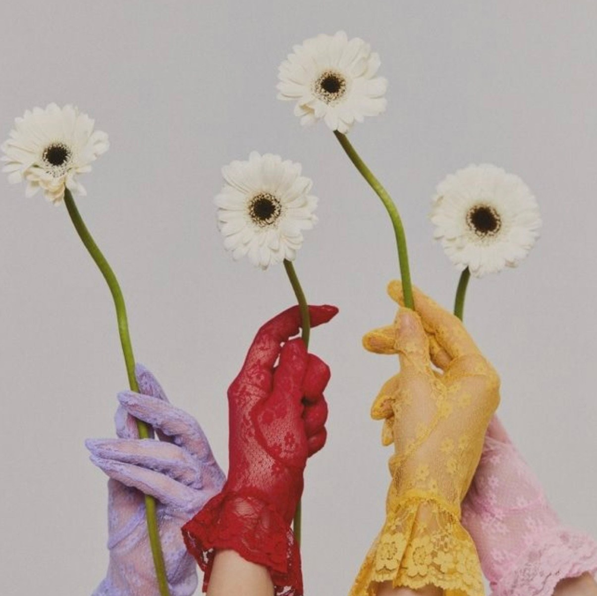 Boutique. Photographe professionnelle de la ville d’Auxerre - Ekaterina Mathieu