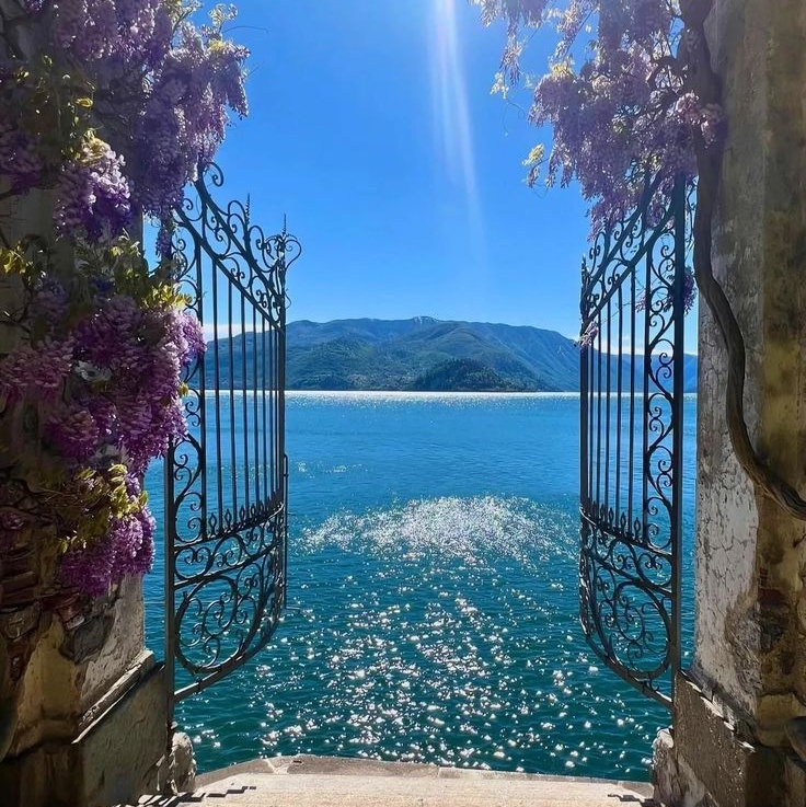 Proposal guide. Aleksandra Lansoni