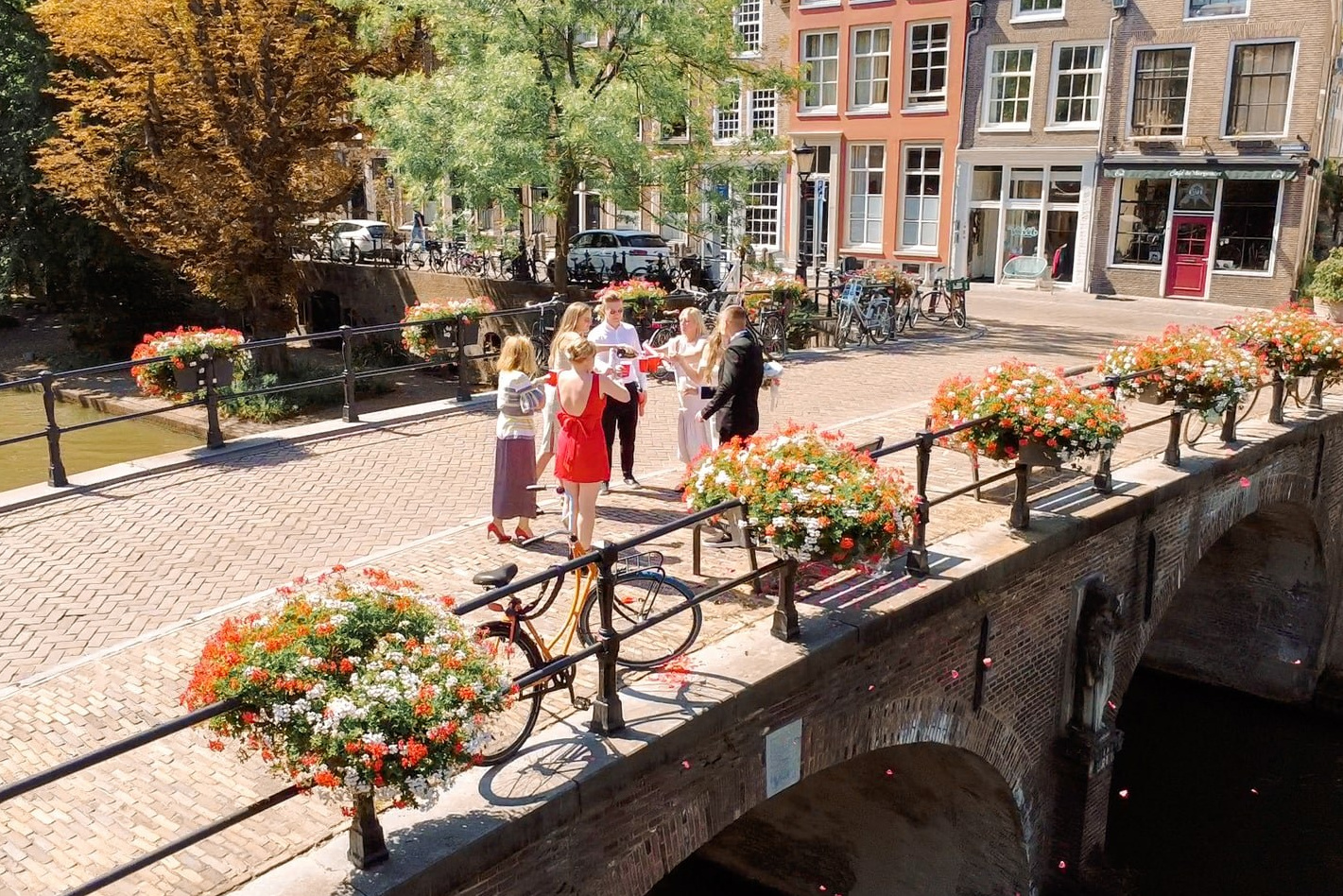 Romantic outdoor table with roses and fruit in warm tones