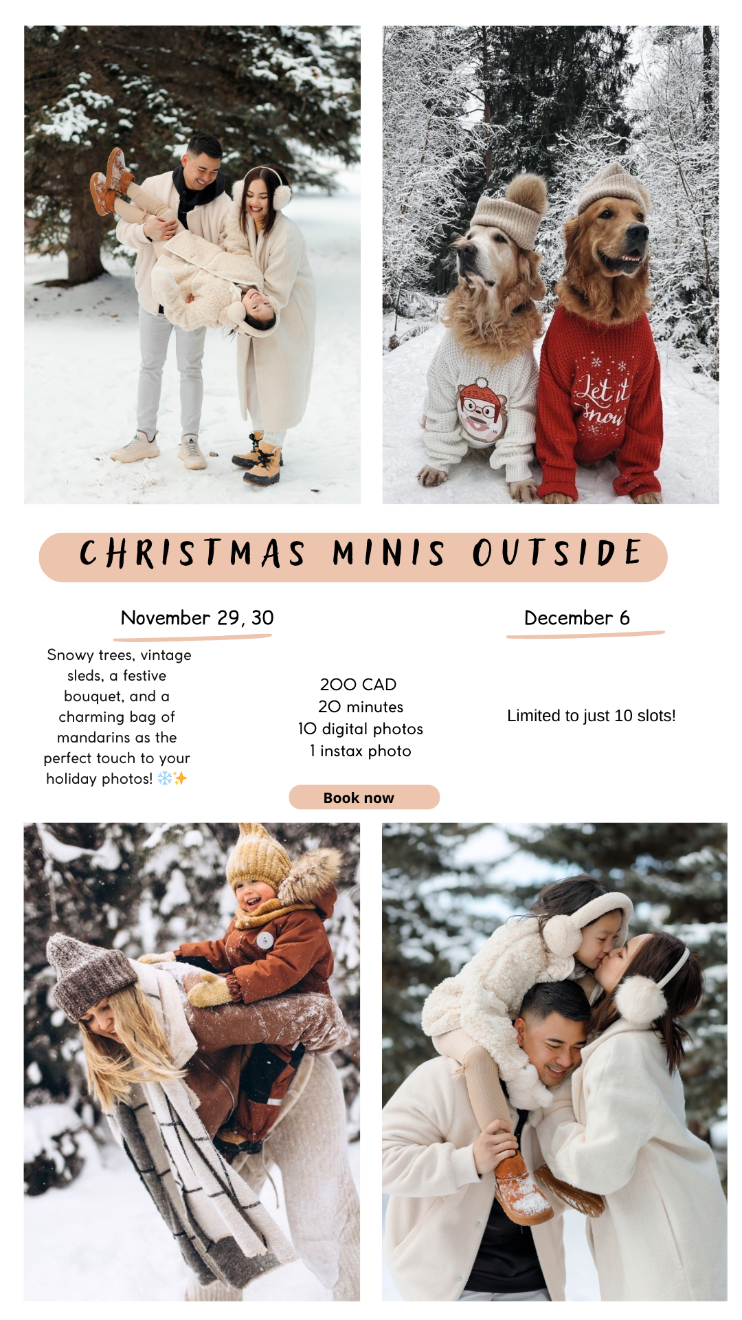 Christmas minis 2025. Home