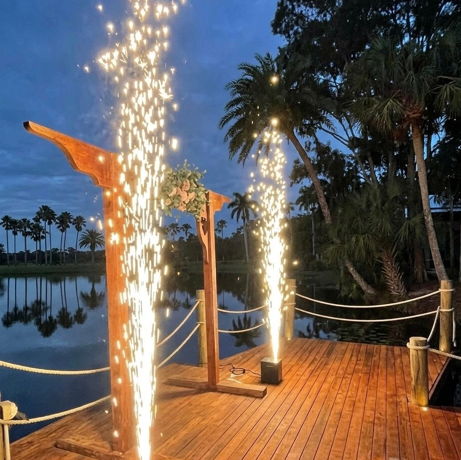 Miami Engagement Photographer: Your discreet Paparazzi