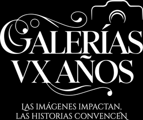 galeriasxv.com