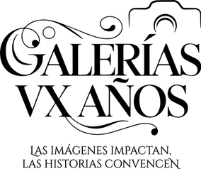 galeriasxv.com