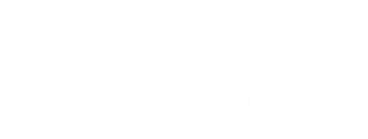 alinnezucolotto.com.br