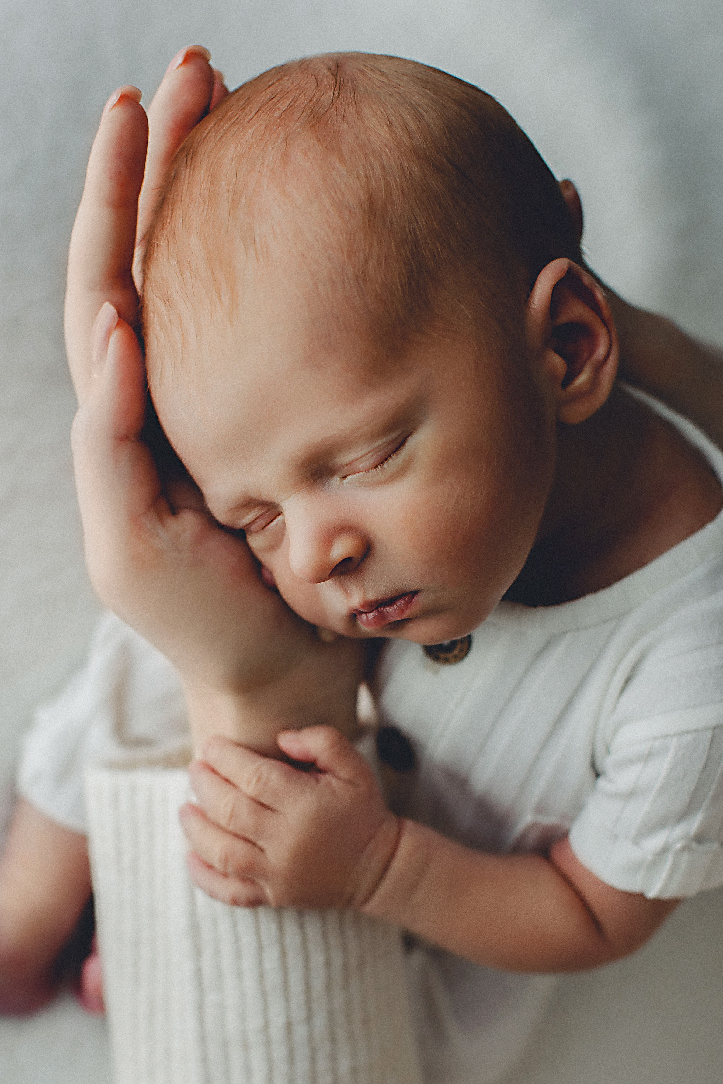 Newborn Photo Prices. Family, kids portrait and newborn photographer in Chicago Illinois