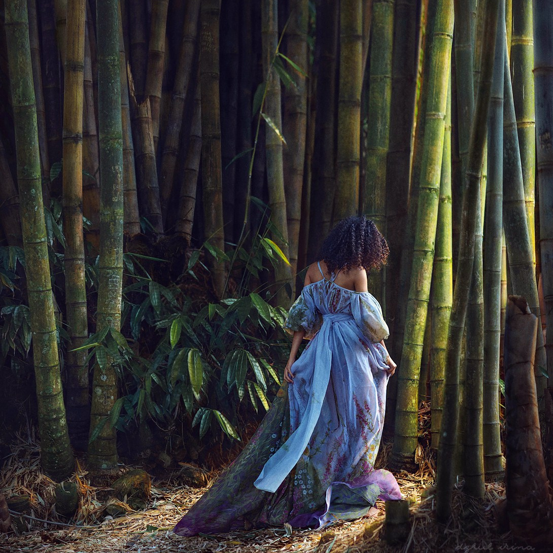 SOUL OF TREE. Art photographer in Amsterdam, the Netherlands Irina Dzhul