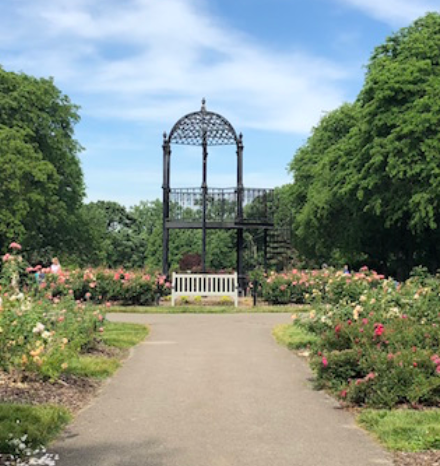 A Romantic Surprise Proposal at Columbus Park of Roses | Columbus Proposal Photographer. Kovyphoto