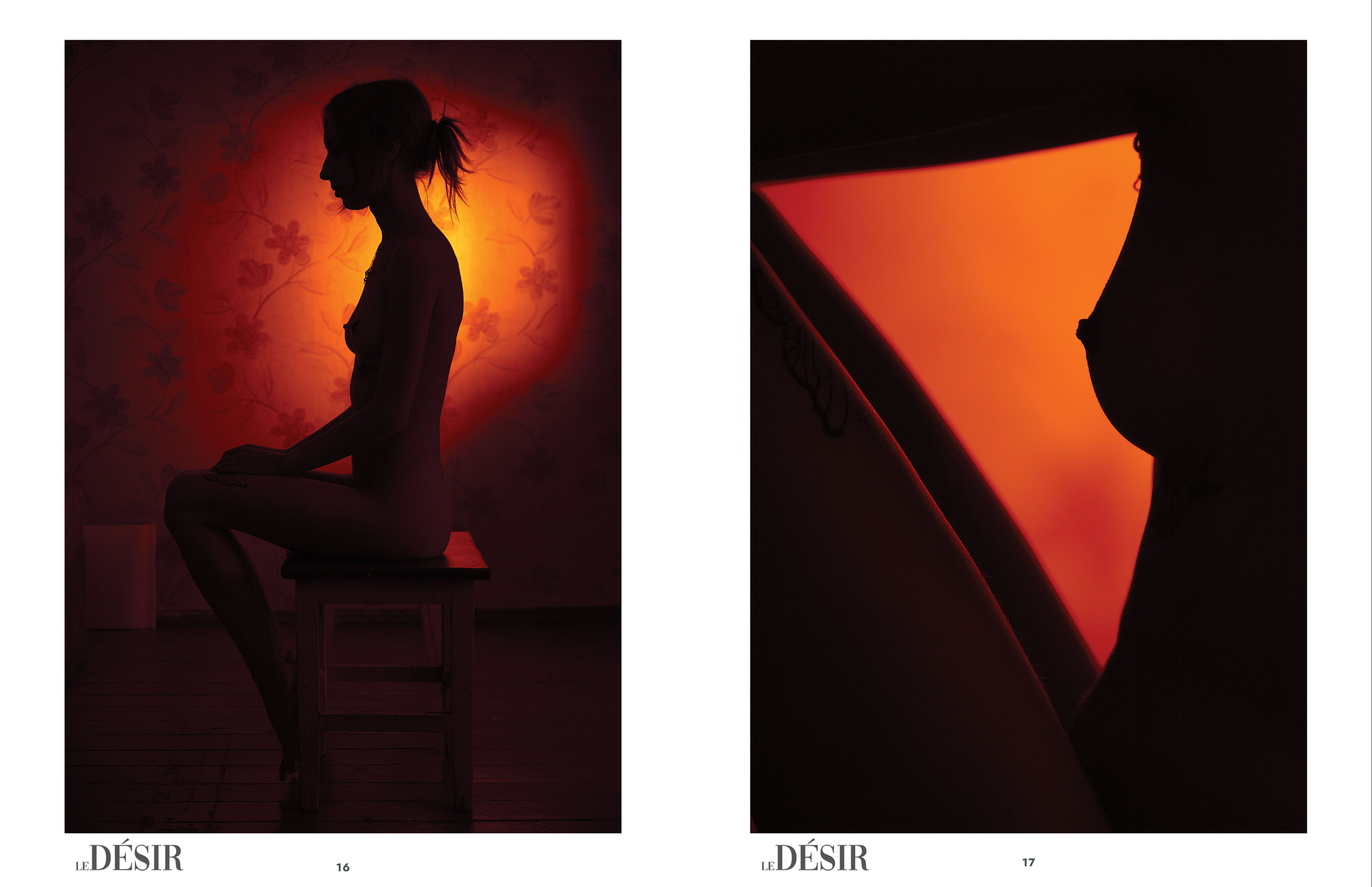 Shades of Shadows — LeDesir, Nudes and Boudoir, September. Профессиональный Фотограф Халемонец Андрей в Кривой Рог Днепр Украина