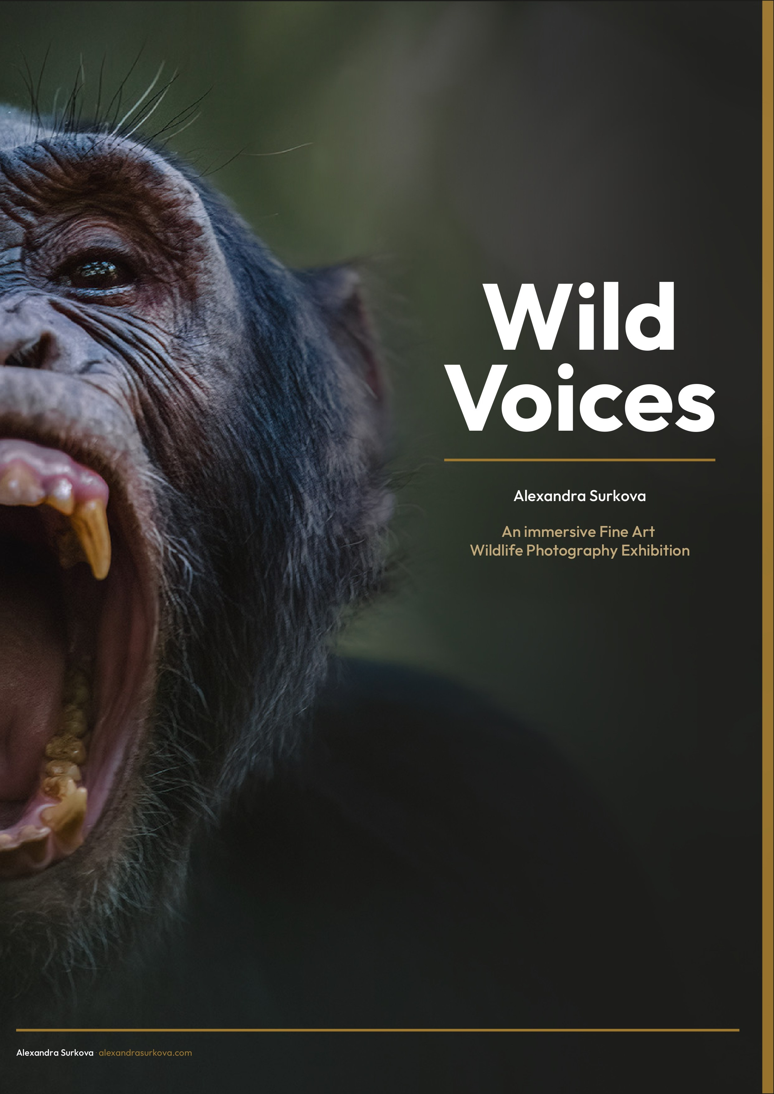 WILD VOICES.pdf (English)