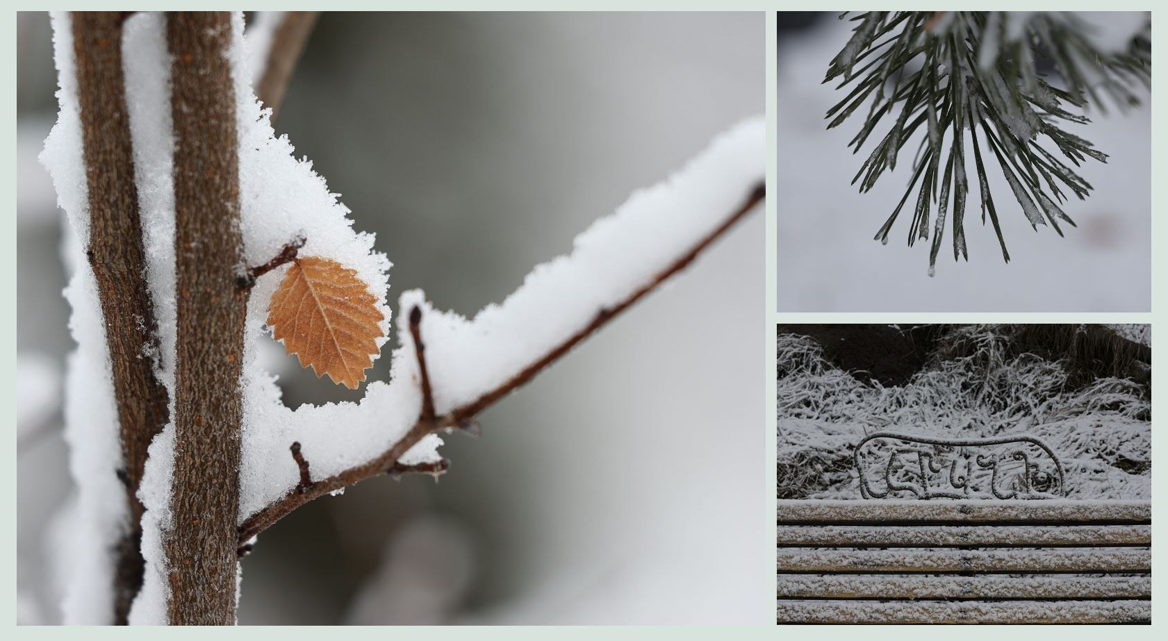 Opiniones de alumnos de español