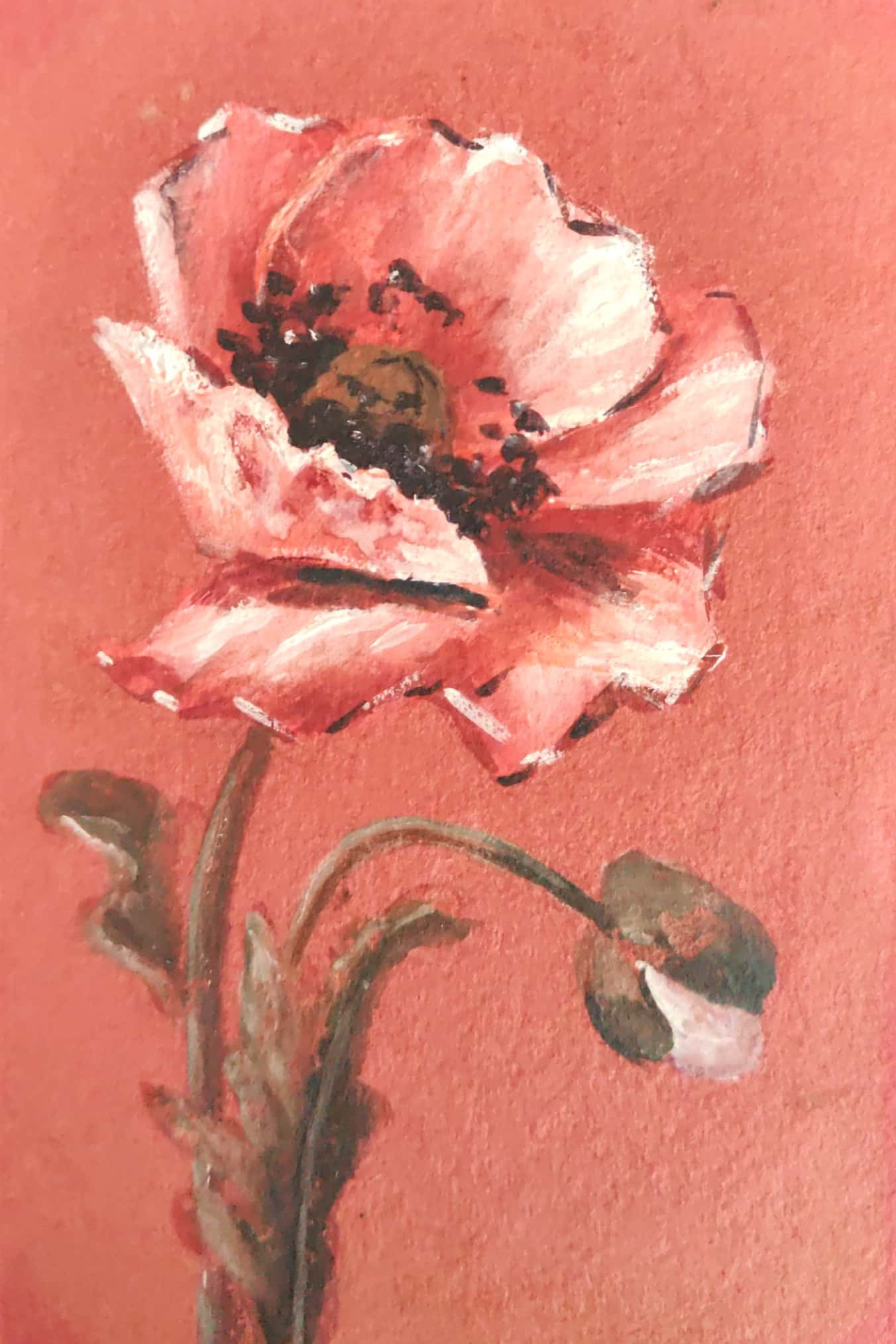 Дизайн ручной работы: винтажные открытки-натюрморты. Фотограф, любитель винтажа, коллекционер винтажных открыток и создатель историй на пересечении прошлого и личного. Ирина Дайнакова